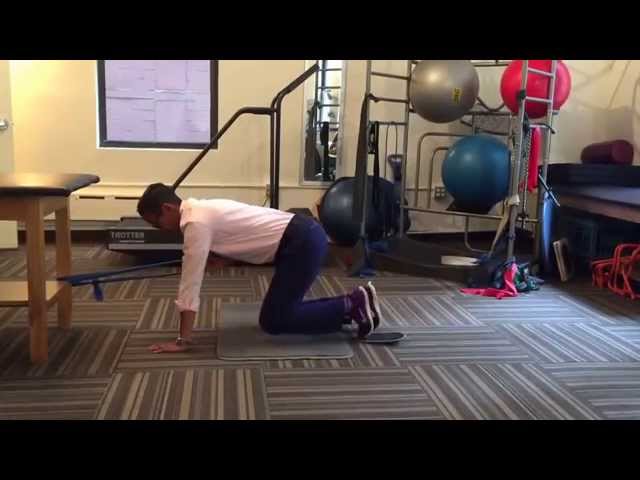 Quadruped Pulling for Core Stability (full explanation)
