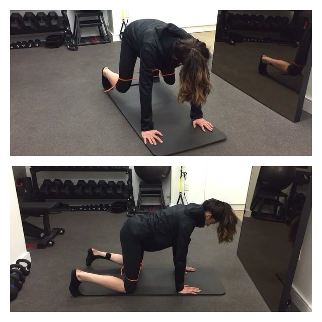 Banded Bear Crawl Holds for Better Squats