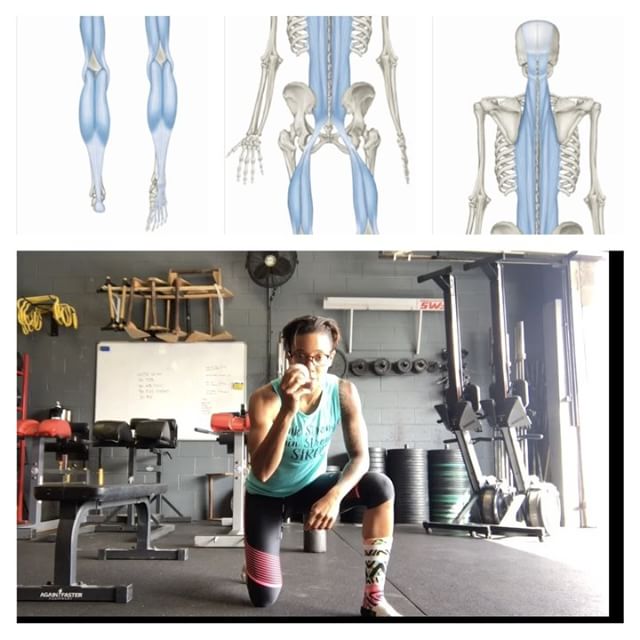Soft Tissue Mobilization of the Posterior Chain (Touch Your Toes Part II)