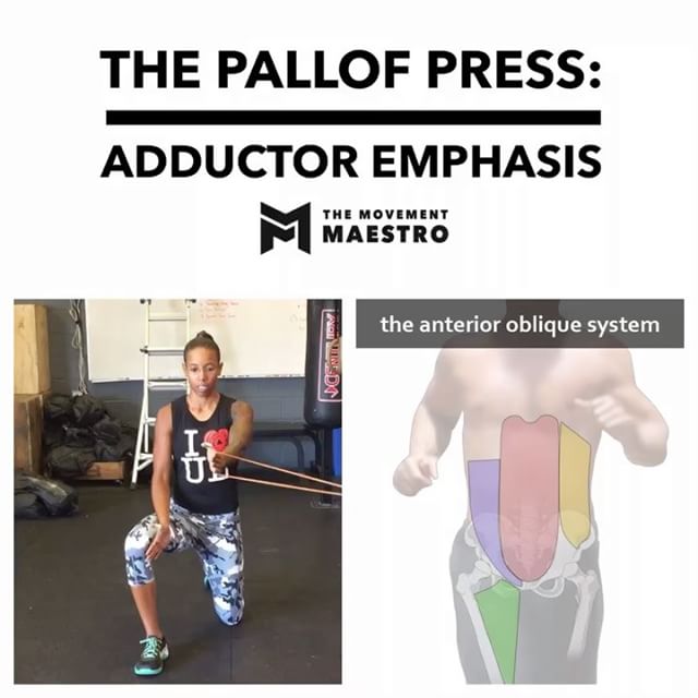 The Pallof Press with Adductor Bias