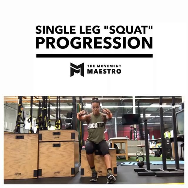 Single Leg Squat Progression