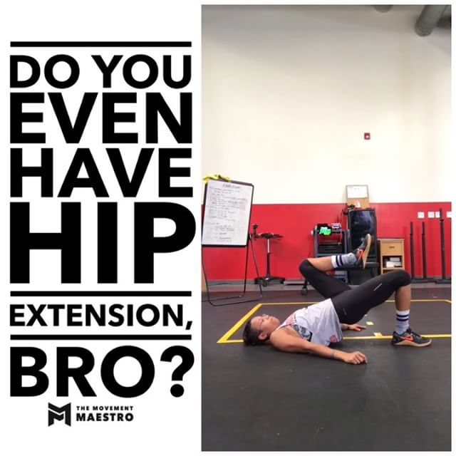 Hip Extension Drill (Cook Hip lift)