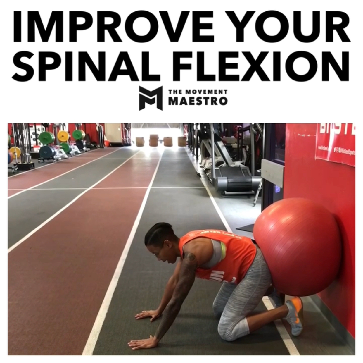Quadruped Rocking with a Swiss Ball to Improve Spinal Flexion